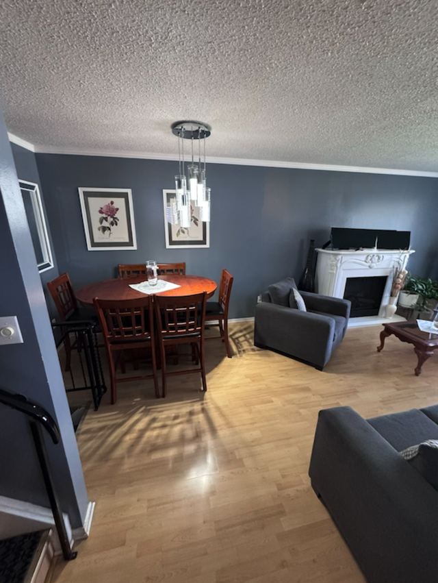 Semi-Detached 4-Level Backsplit in St Catharines!