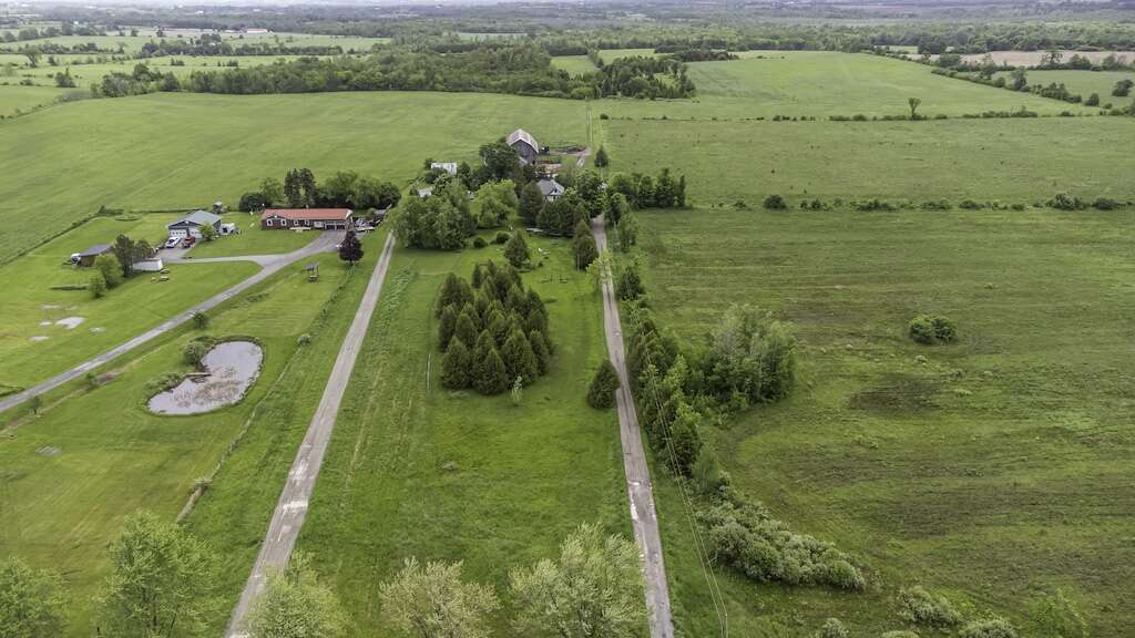 Country Living 10 minutes north of Lindsay