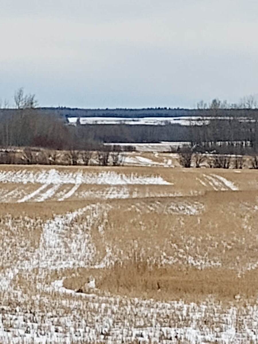 Farm / Vacant Land For Sale in Endeavour, SK