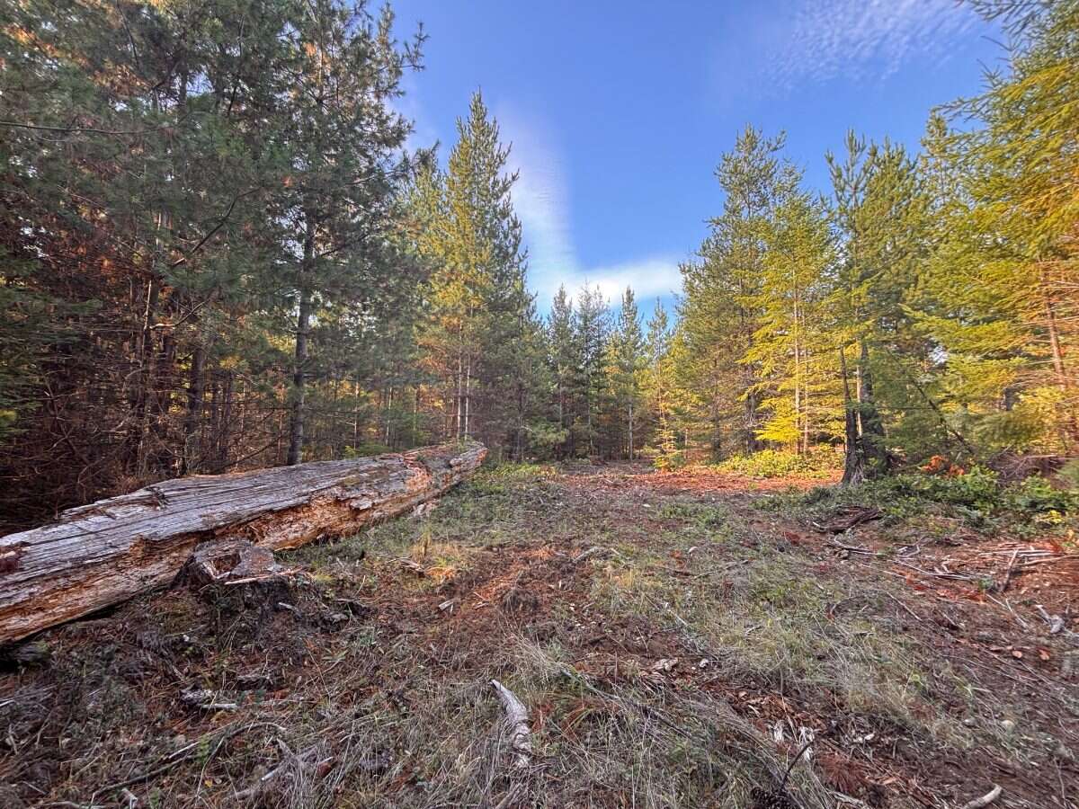 New 5ac Building Lot for Sale on Denman Island, BC