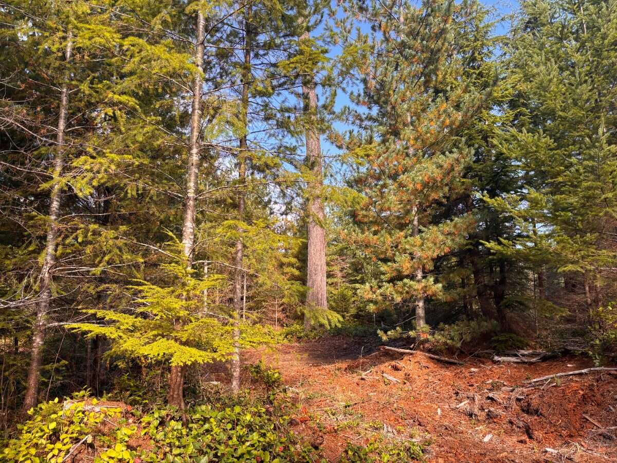 New 5ac Building Lot for Sale on Denman Island, BC