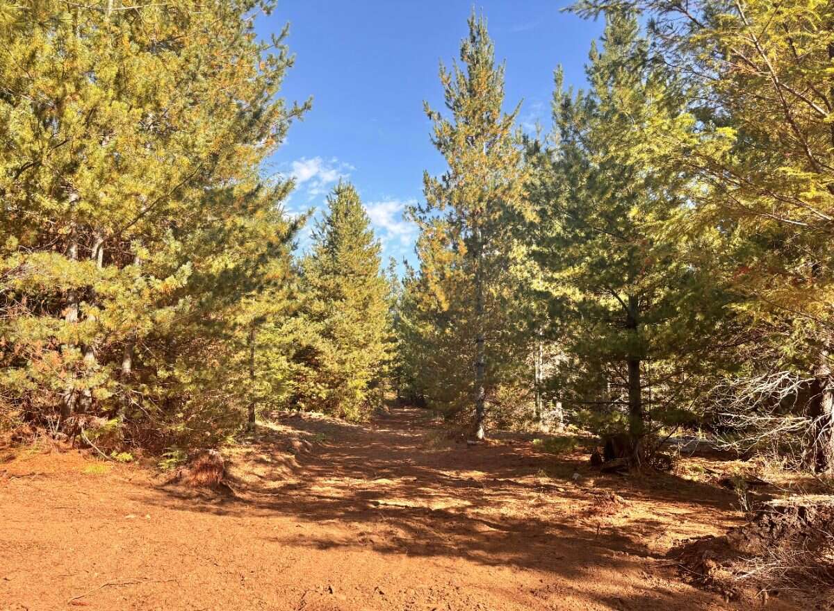 New 5ac Building Lot for Sale on Denman Island, BC