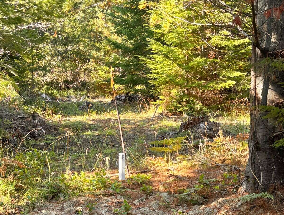 New 5ac Building Lot for Sale on Denman Island, BC