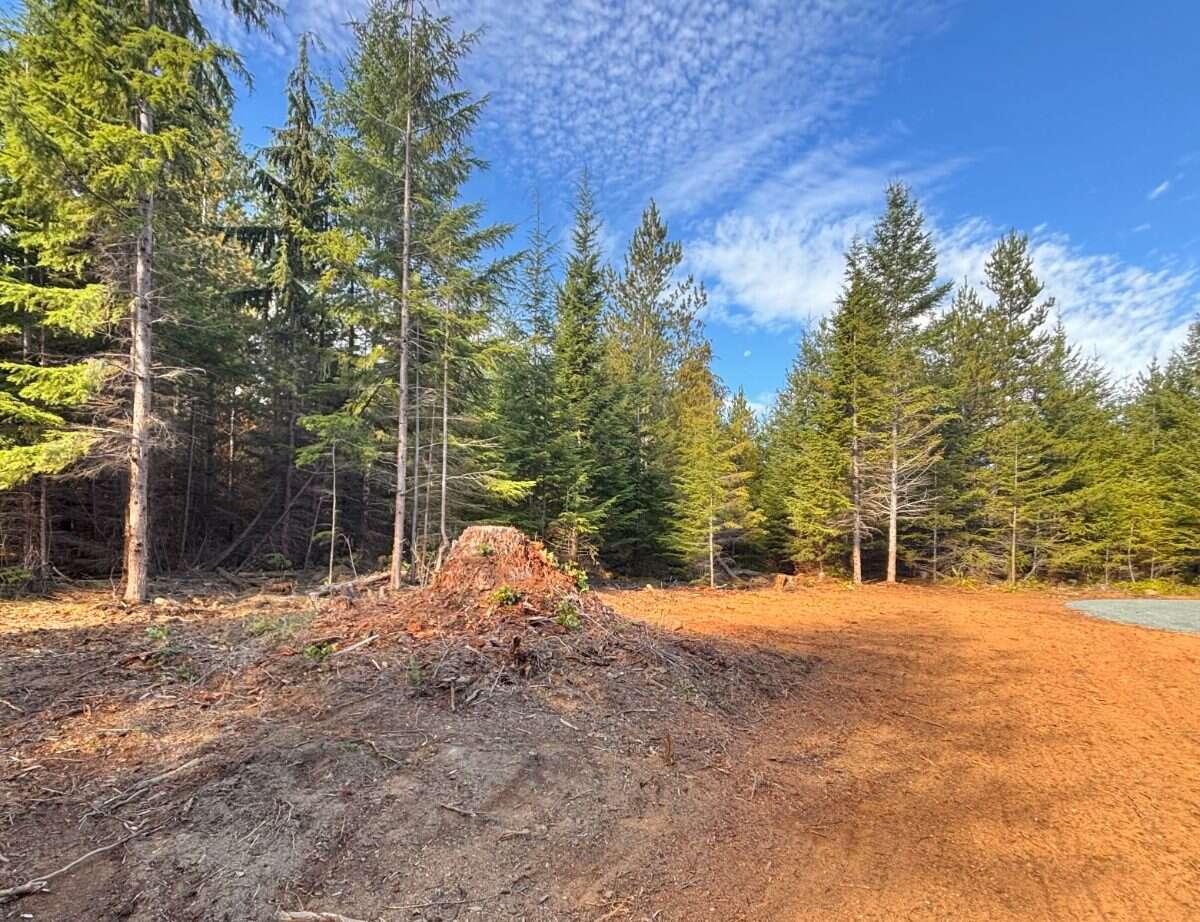 New 5ac Building Lot for Sale on Denman Island, BC