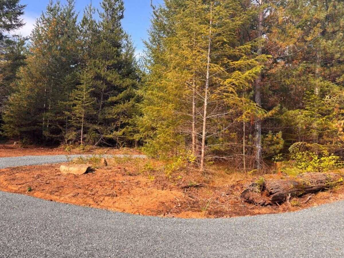 New 5ac Building Lot for Sale on Denman Island, BC