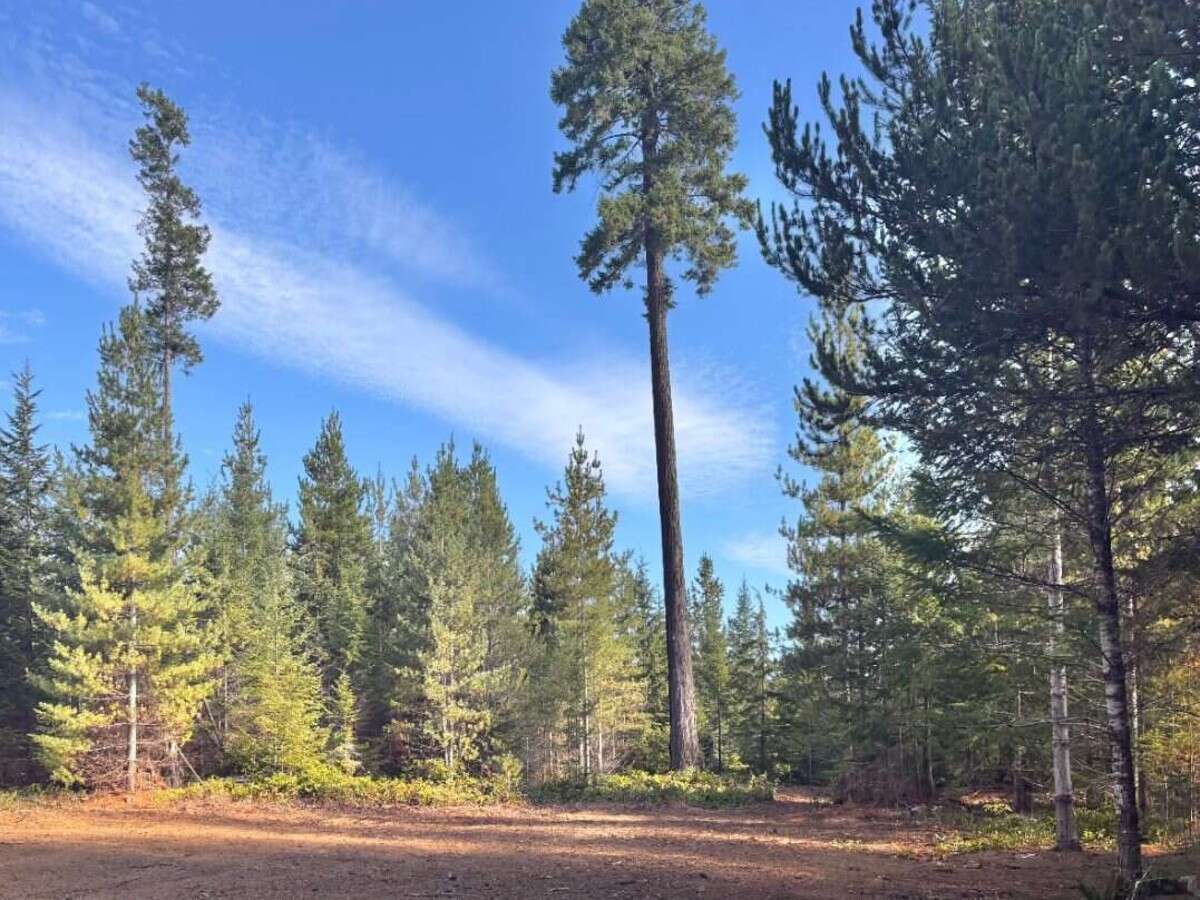 New 5ac Building Lot for Sale on Denman Island, BC