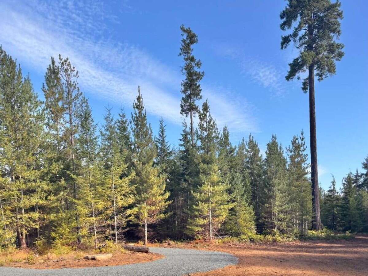 New 5ac Building Lot for Sale on Denman Island, BC