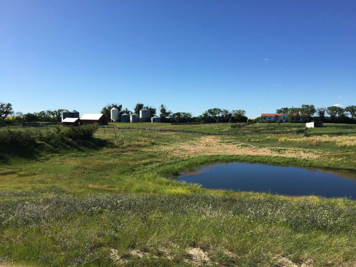 Hobby Farm on 20.14 Acres! 