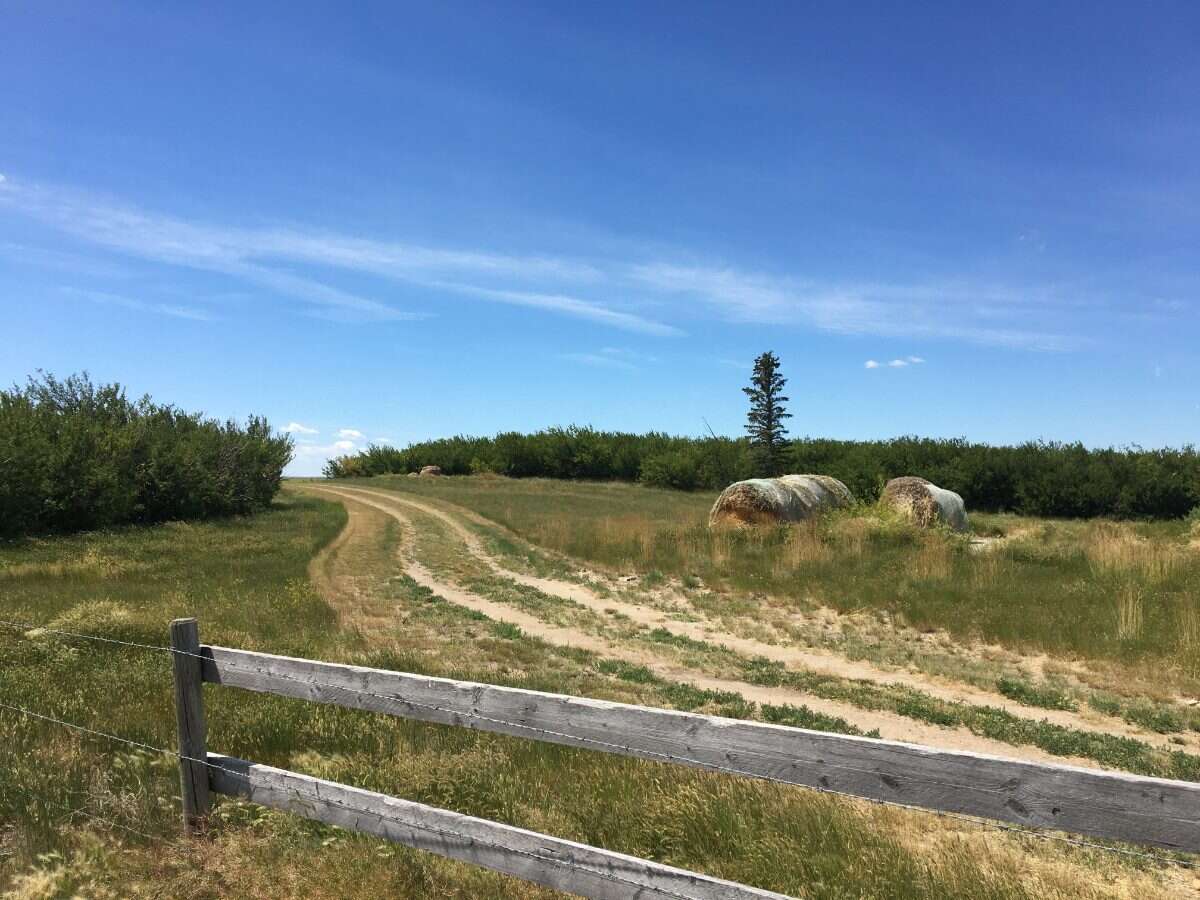 Hobby Farm on 20.14 Acres! 