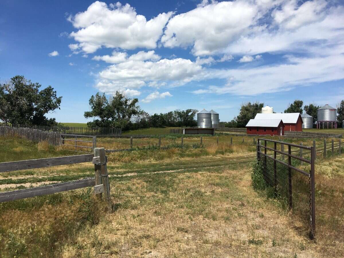 Hobby Farm on 20.14 Acres! 