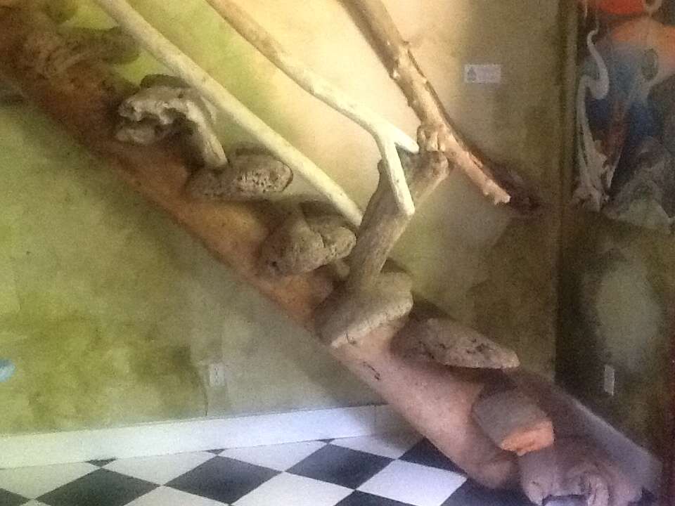 Access to 3rd floor main house