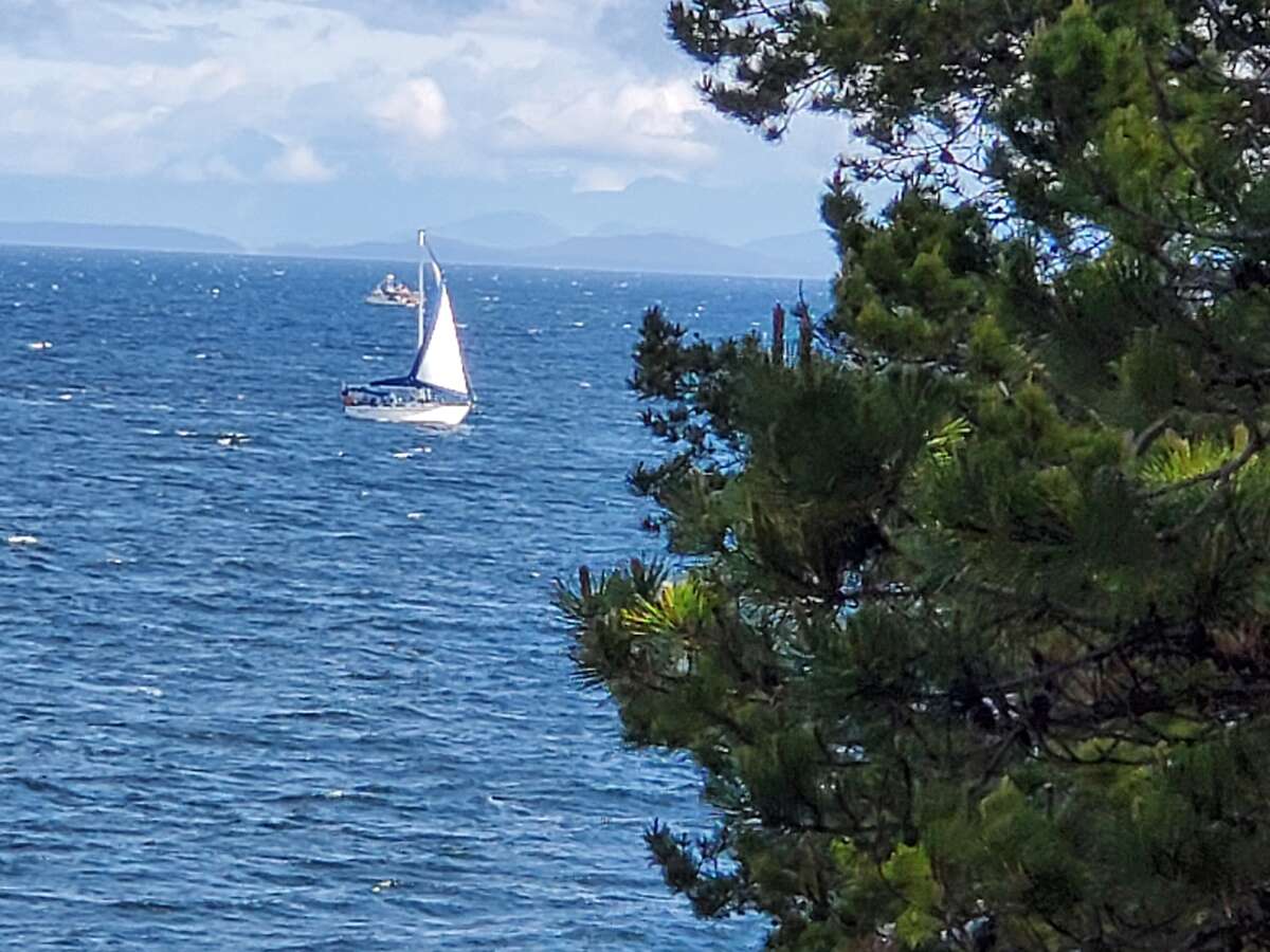Ocean Breeze
