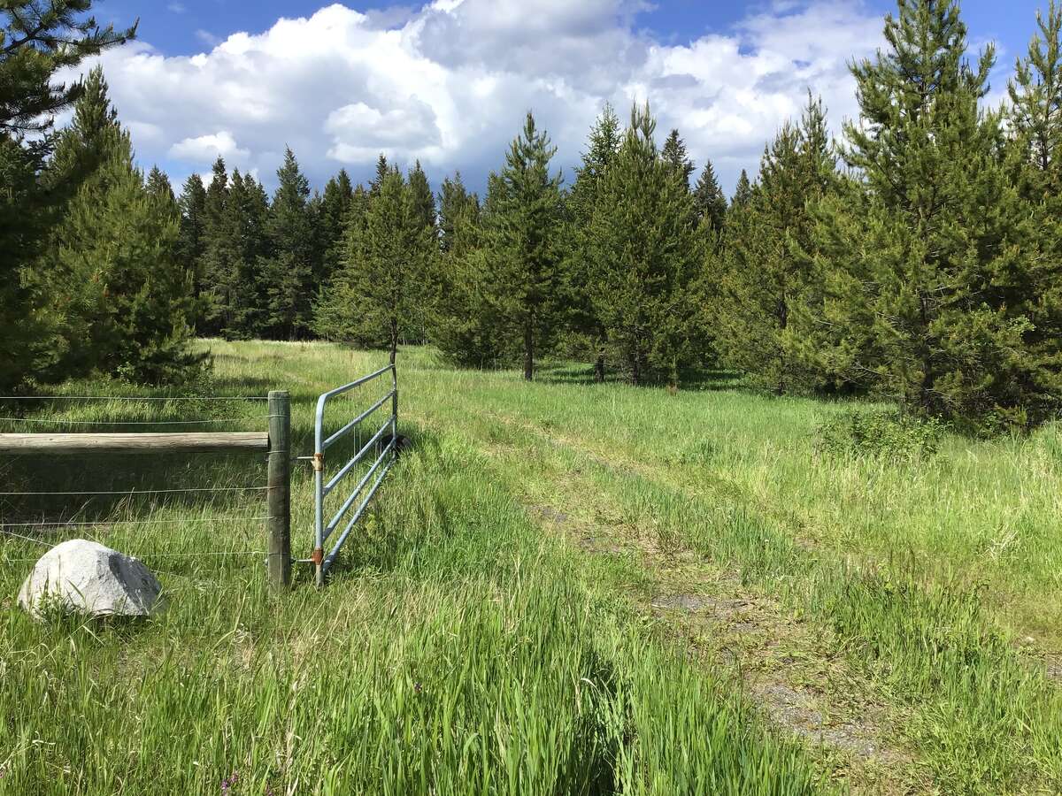Fenced,gated and driveway in from main road
