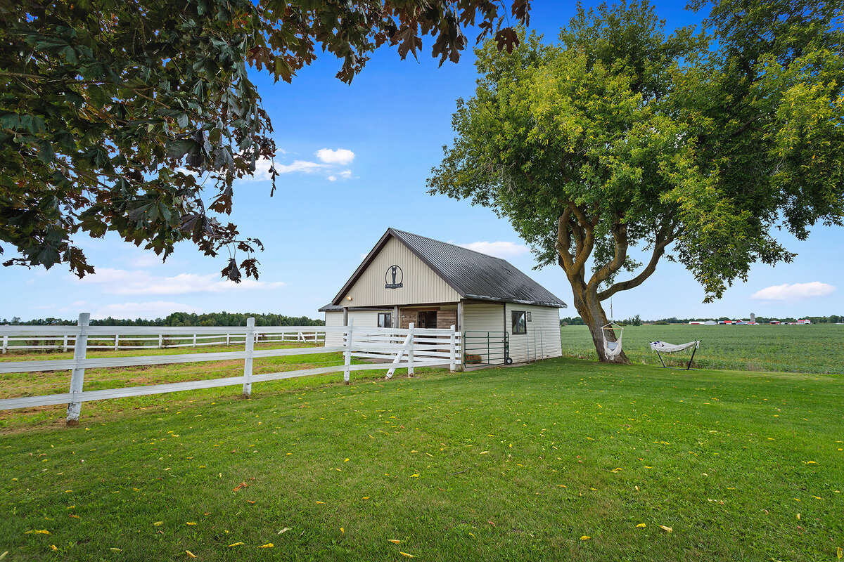 Stable and paddock