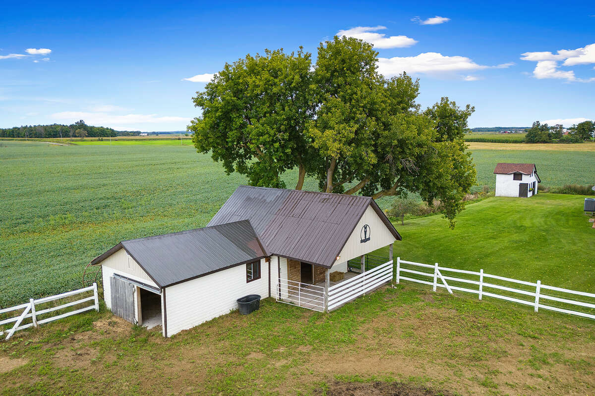Stable and paddock