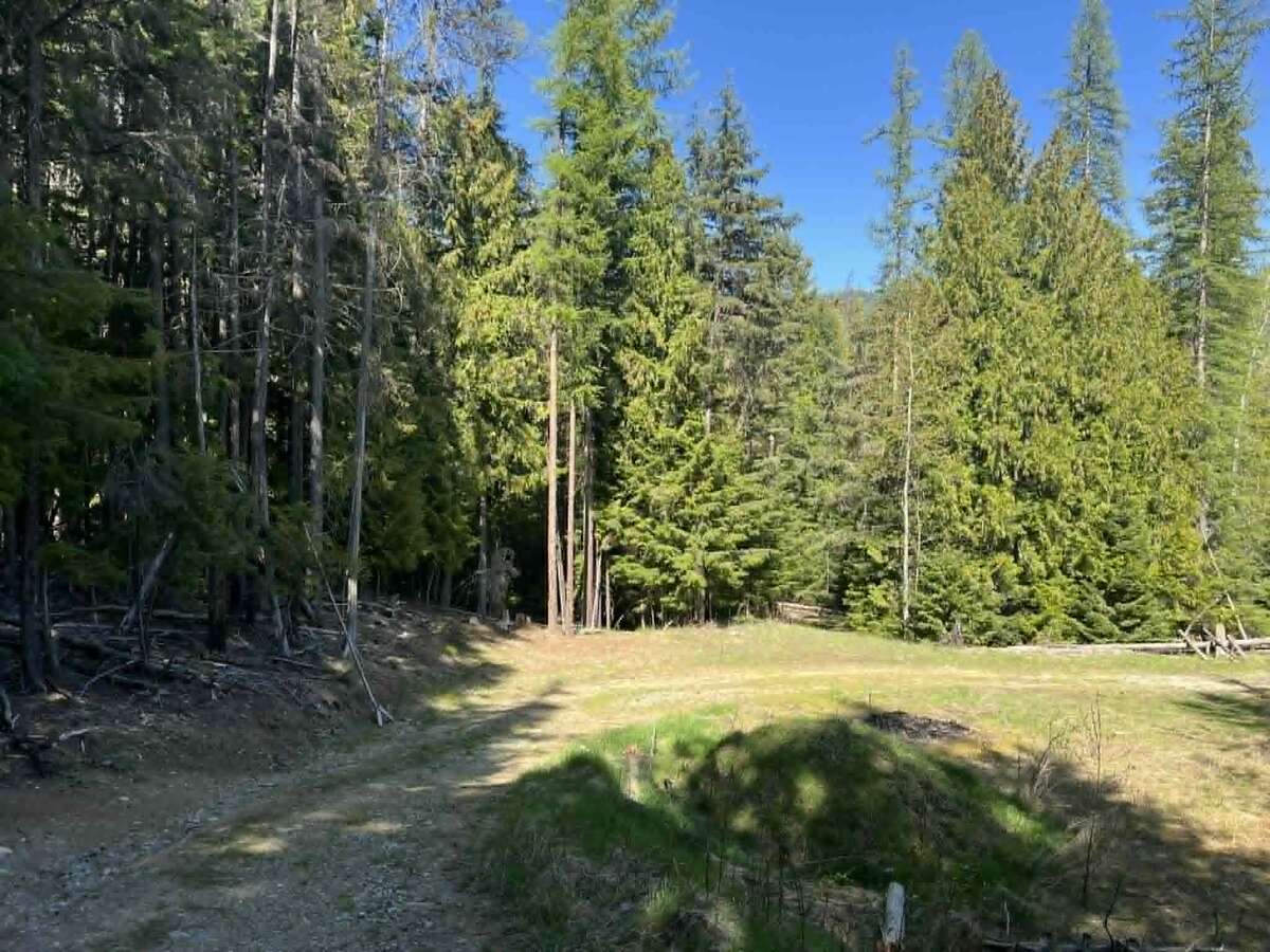 Arrow Creek large home on  9 Acres with Creek