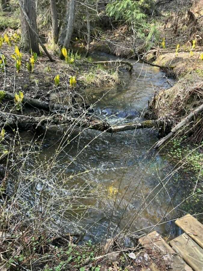 Arrow Creek large home on  9 Acres with Creek