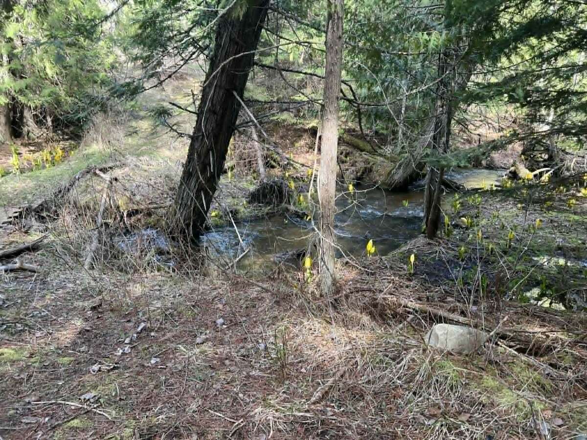 Arrow Creek large home on  9 Acres with Creek