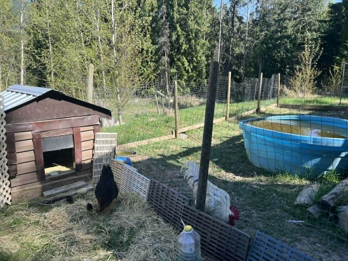 Arrow Creek large home on  9 Acres with Creek