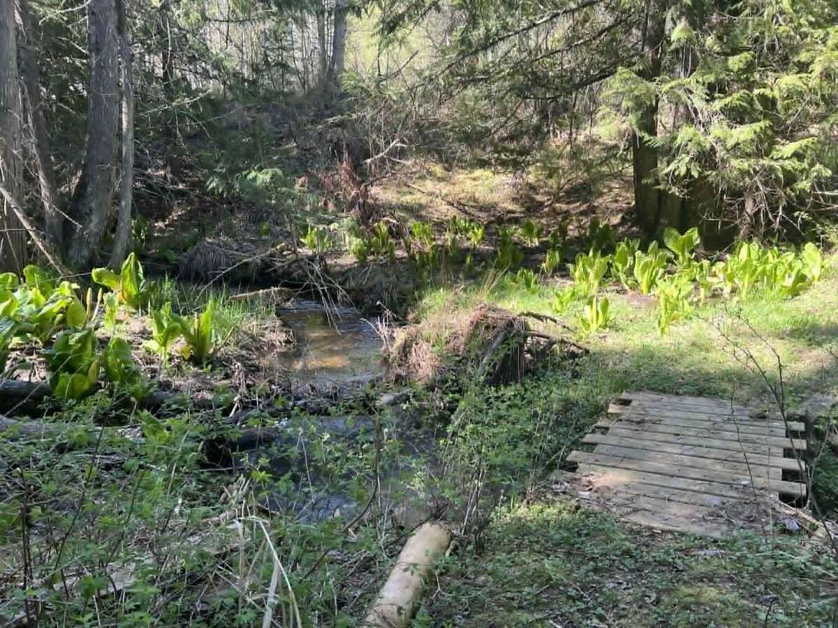Arrow Creek large home on  9 Acres with Creek