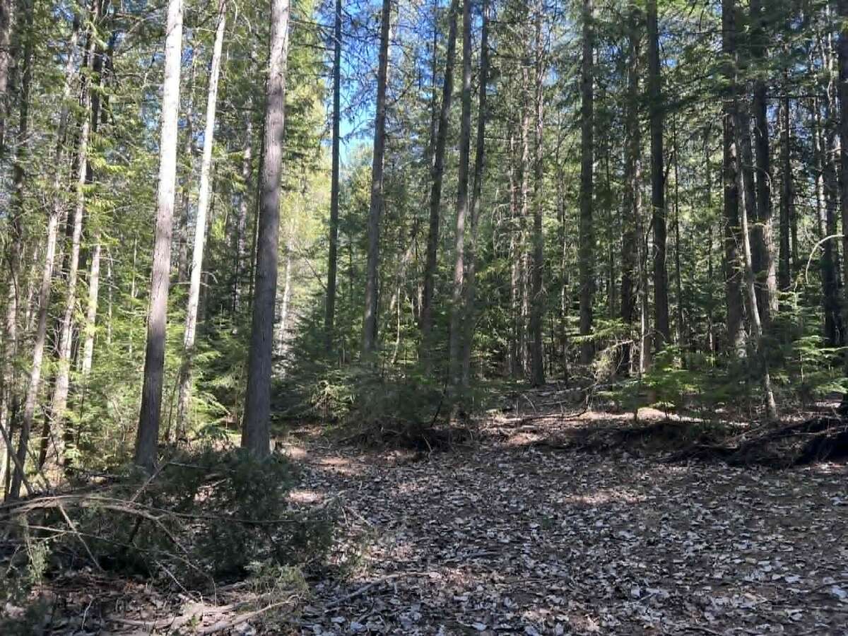 Arrow Creek large home on  9 Acres with Creek