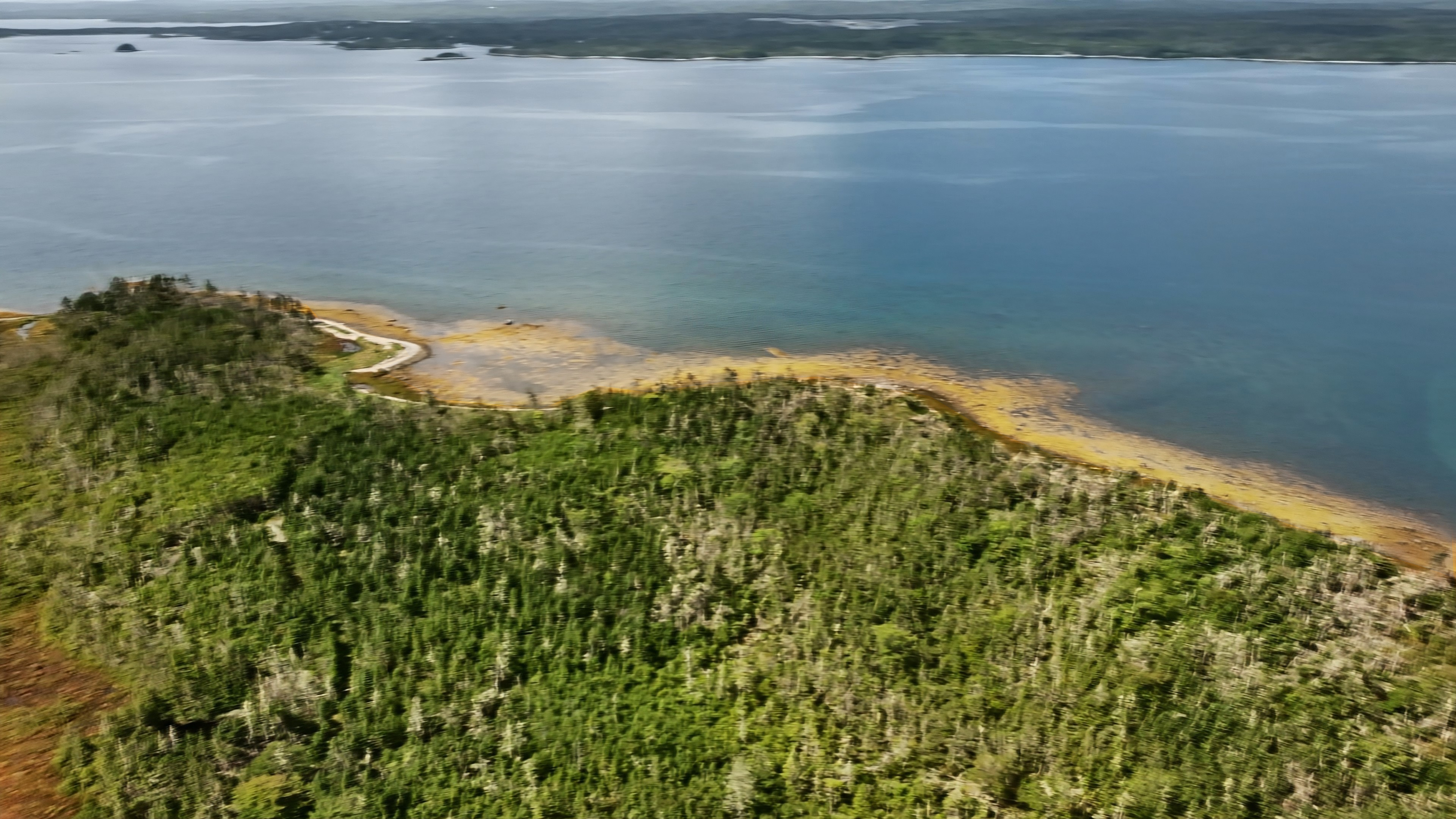 37 acres on Sober Island, NS