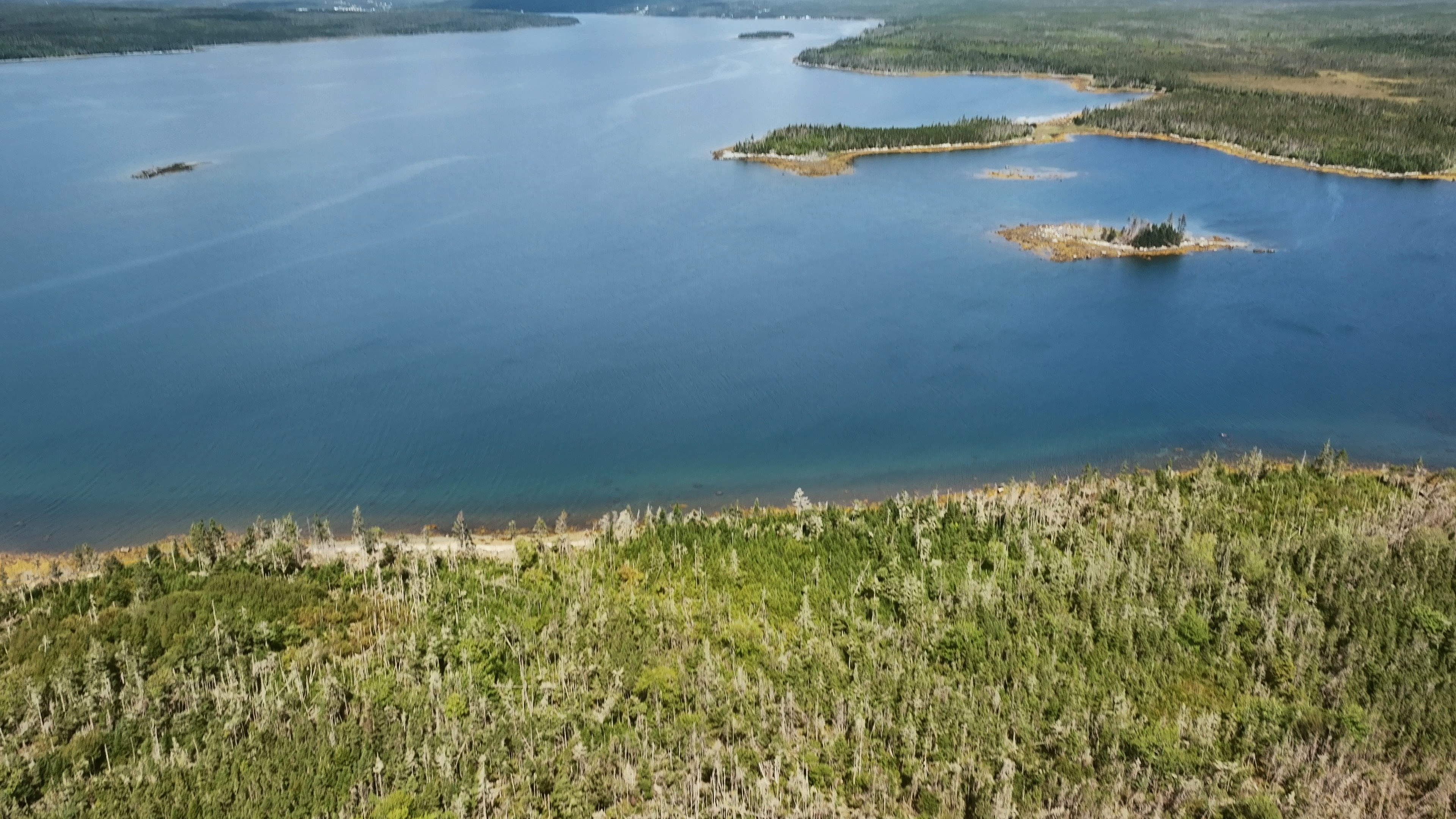 37 acres on Sober Island, NS