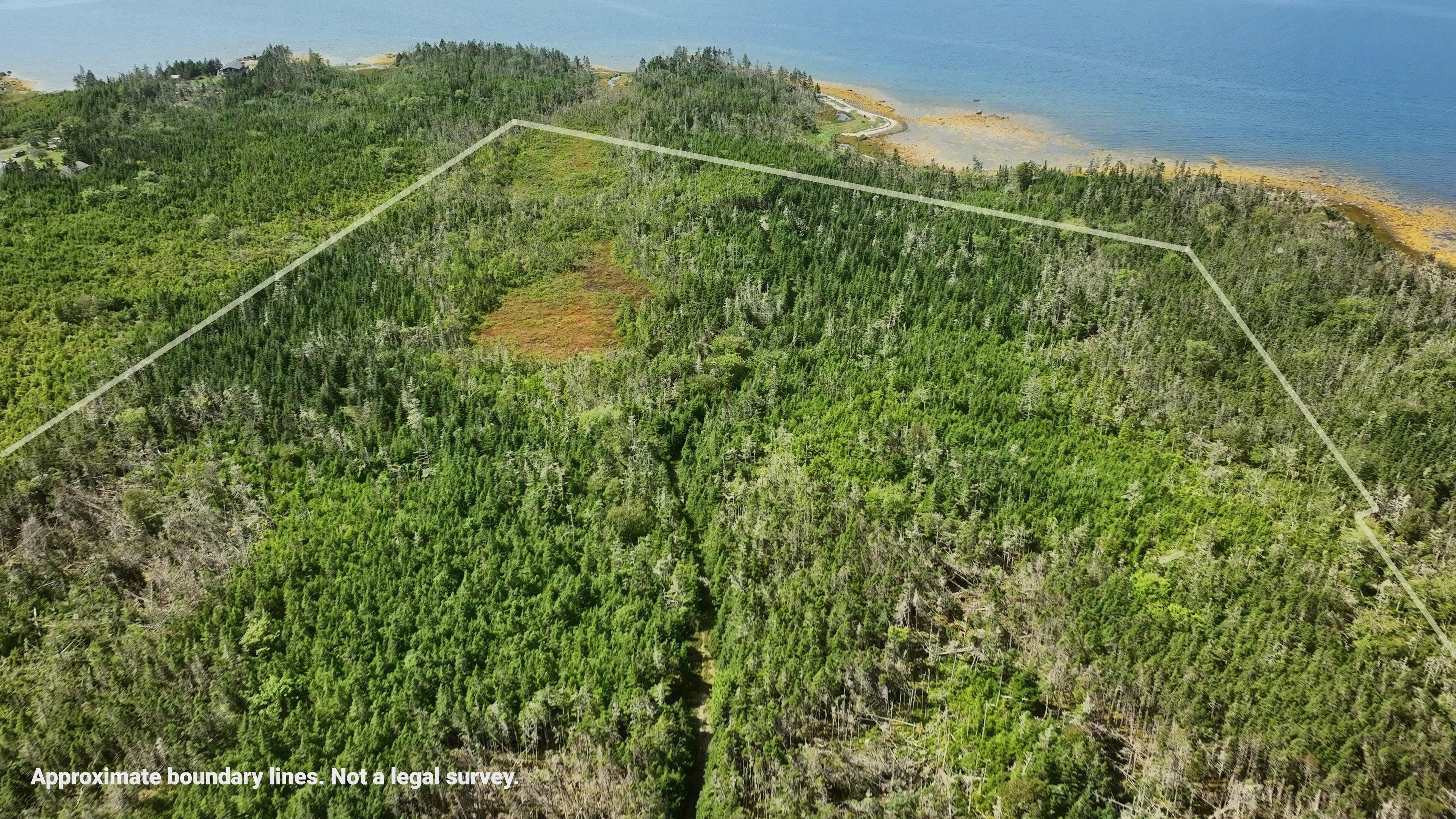 37 acres on Sober Island, NS