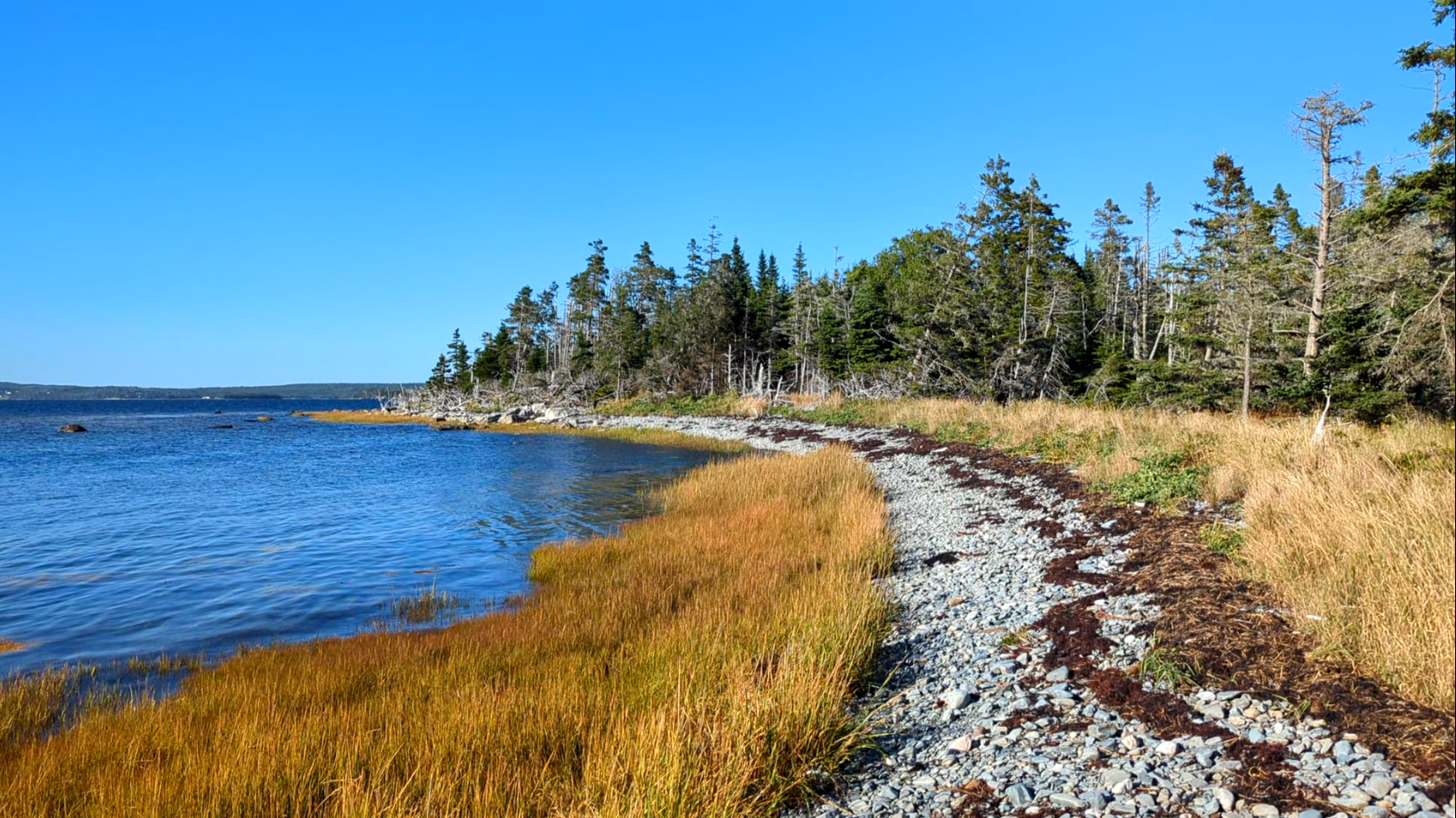 37 acres on Sober Island, NS