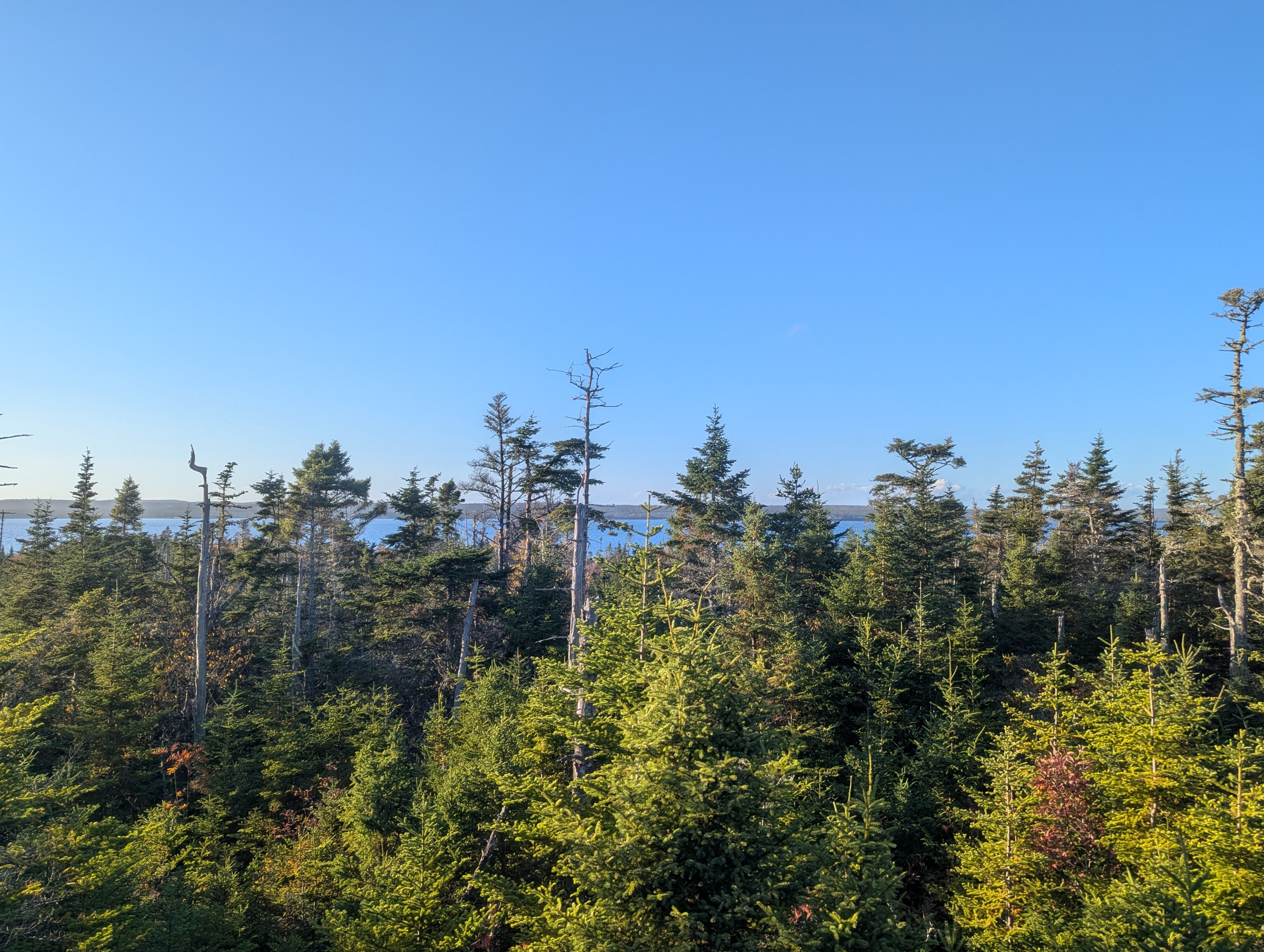 37 acres on Sober Island, NS