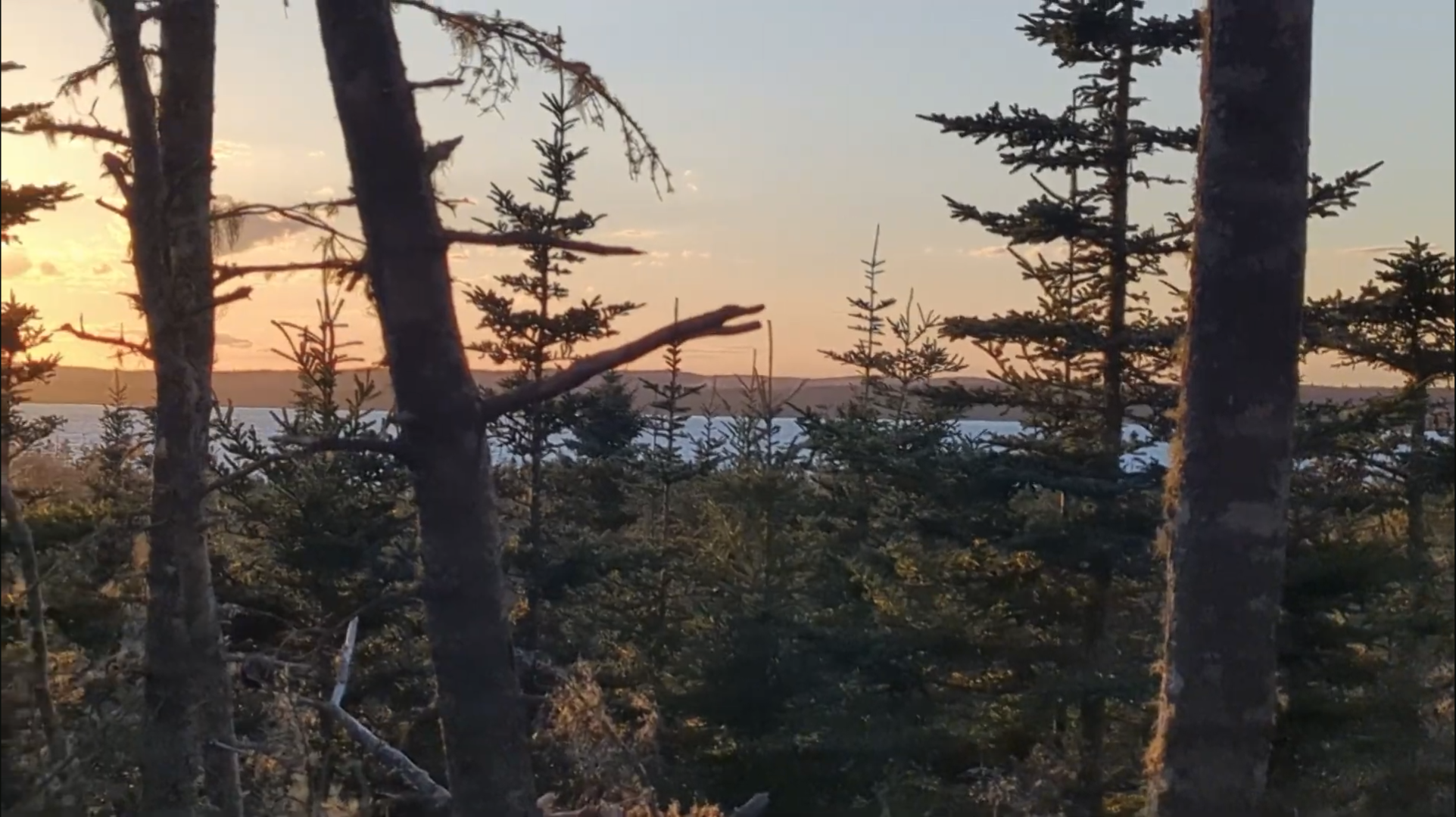 37 acres on Sober Island, NS