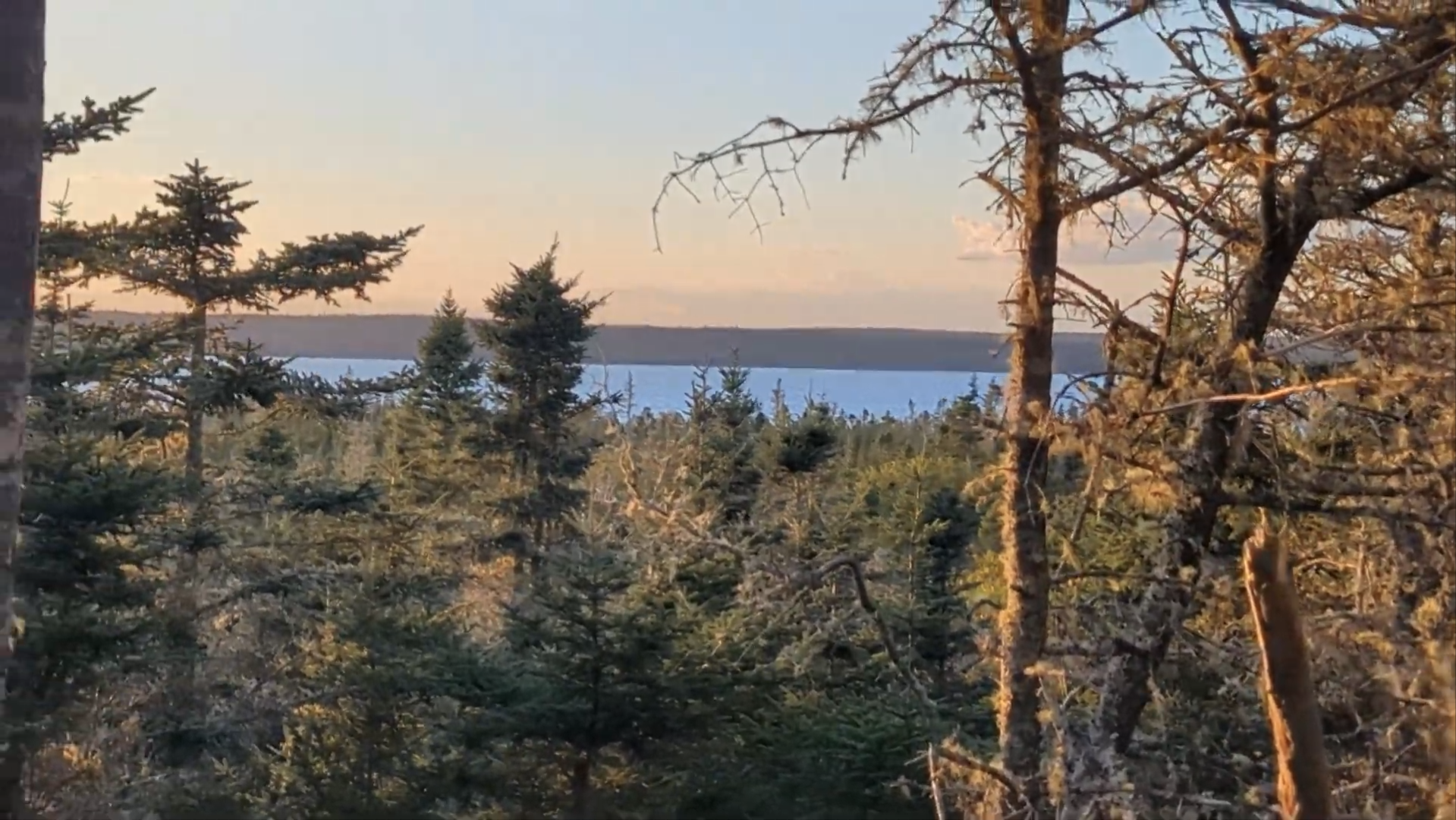 37 acres on Sober Island, NS