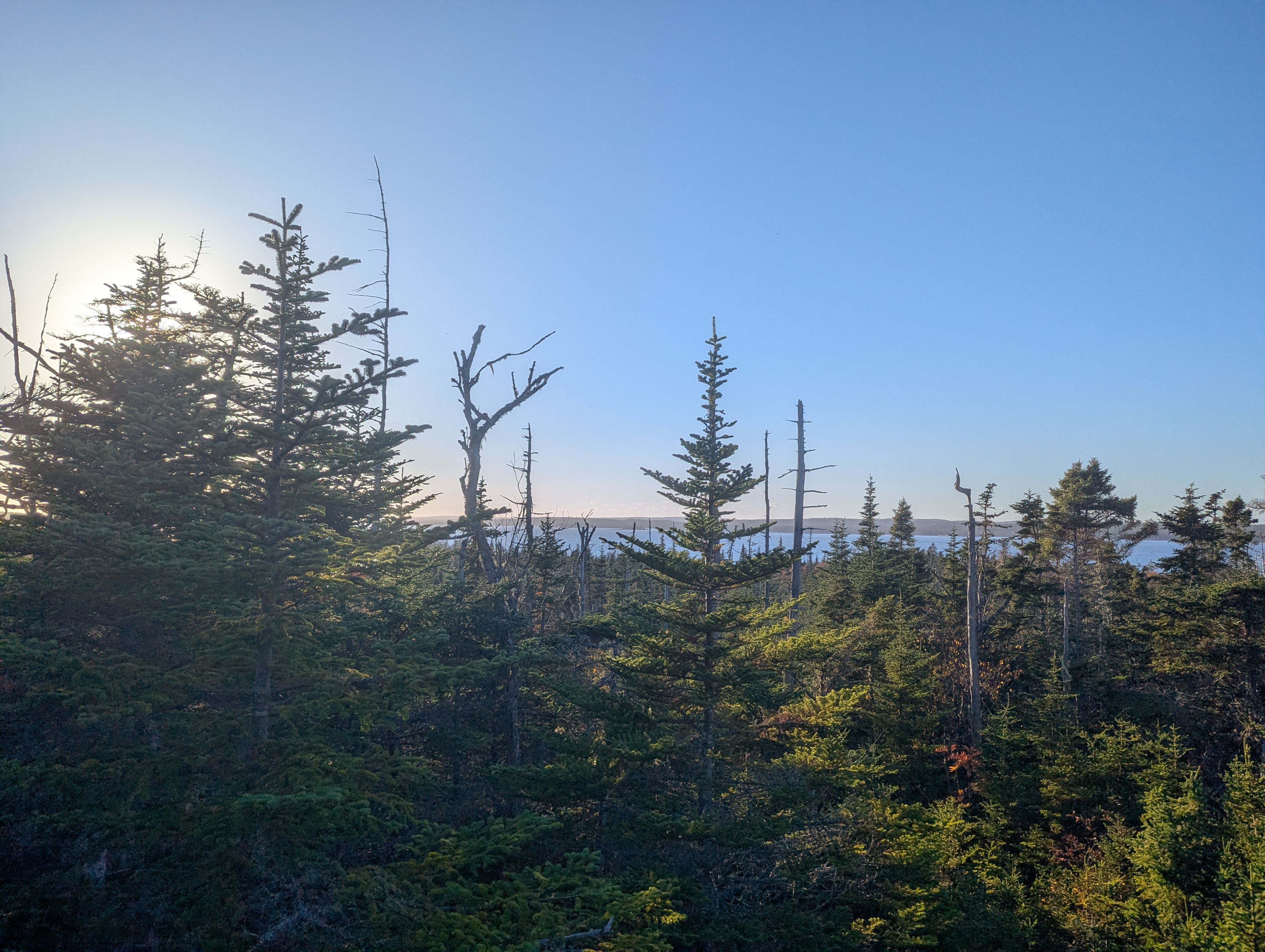 37 acres on Sober Island, NS