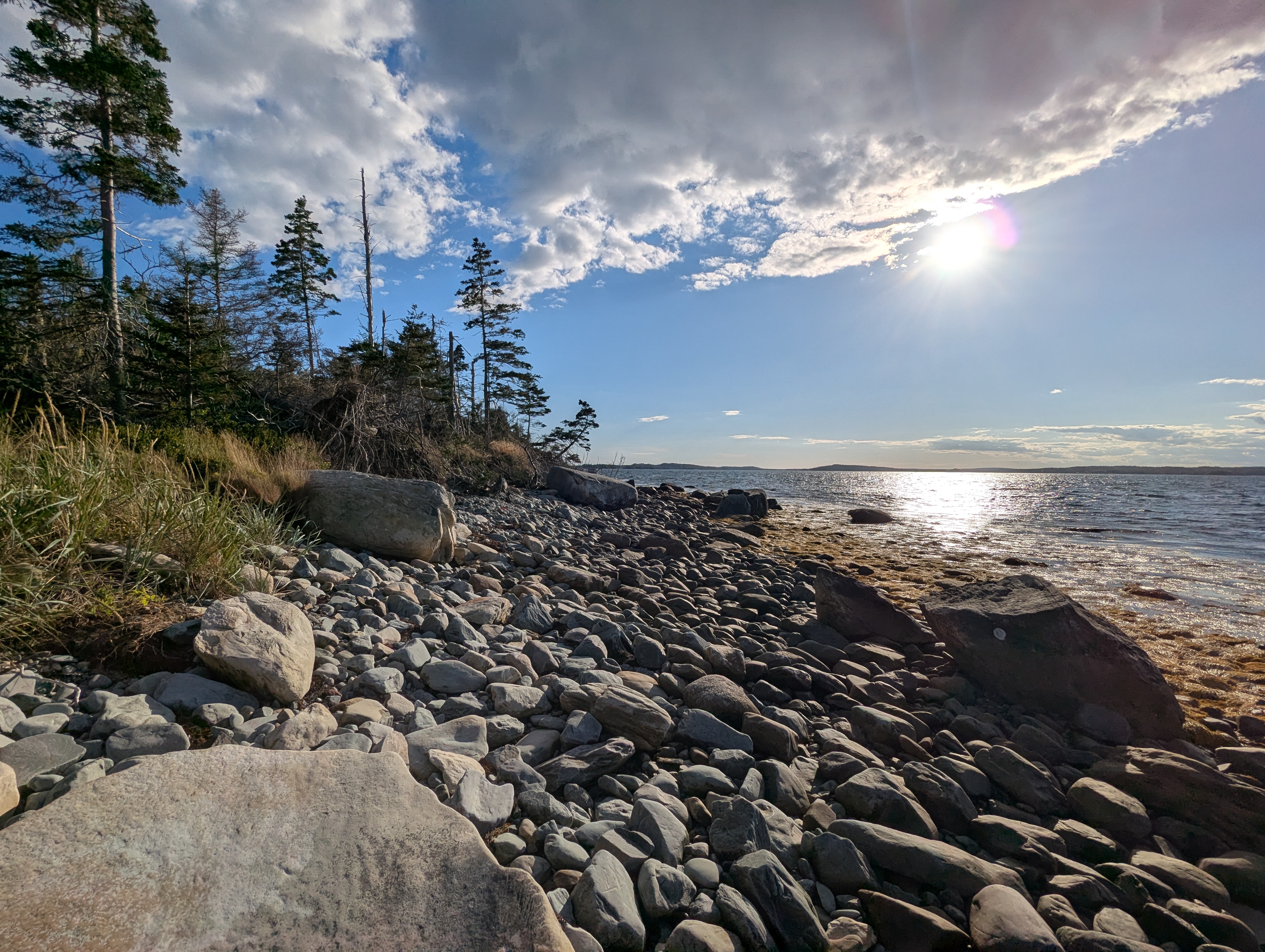 37 acres on Sober Island, NS
