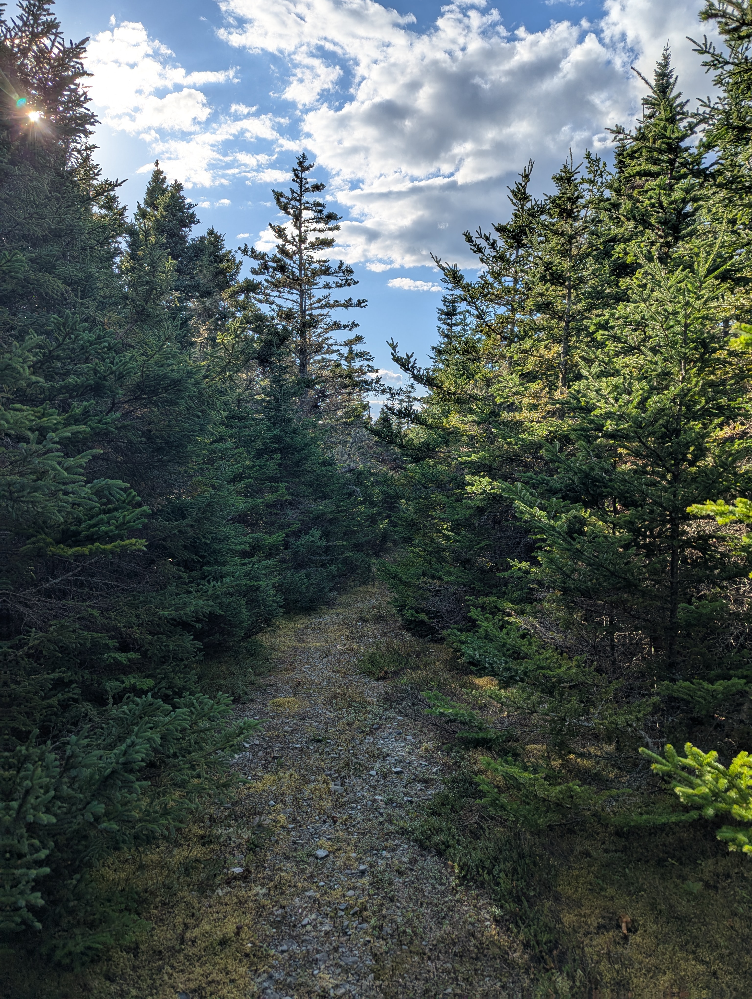 37 acres on Sober Island, NS