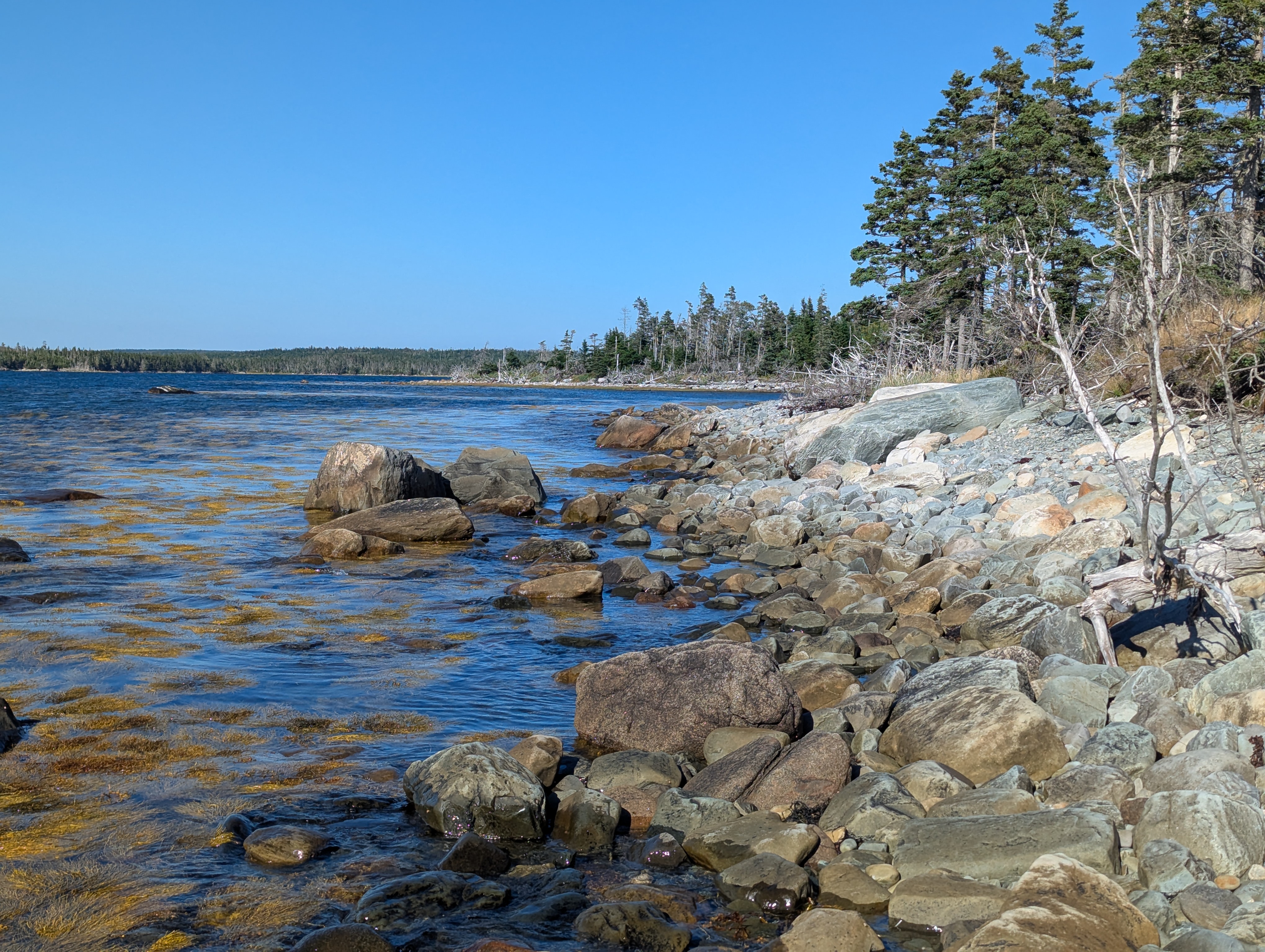 37 acres on Sober Island, NS