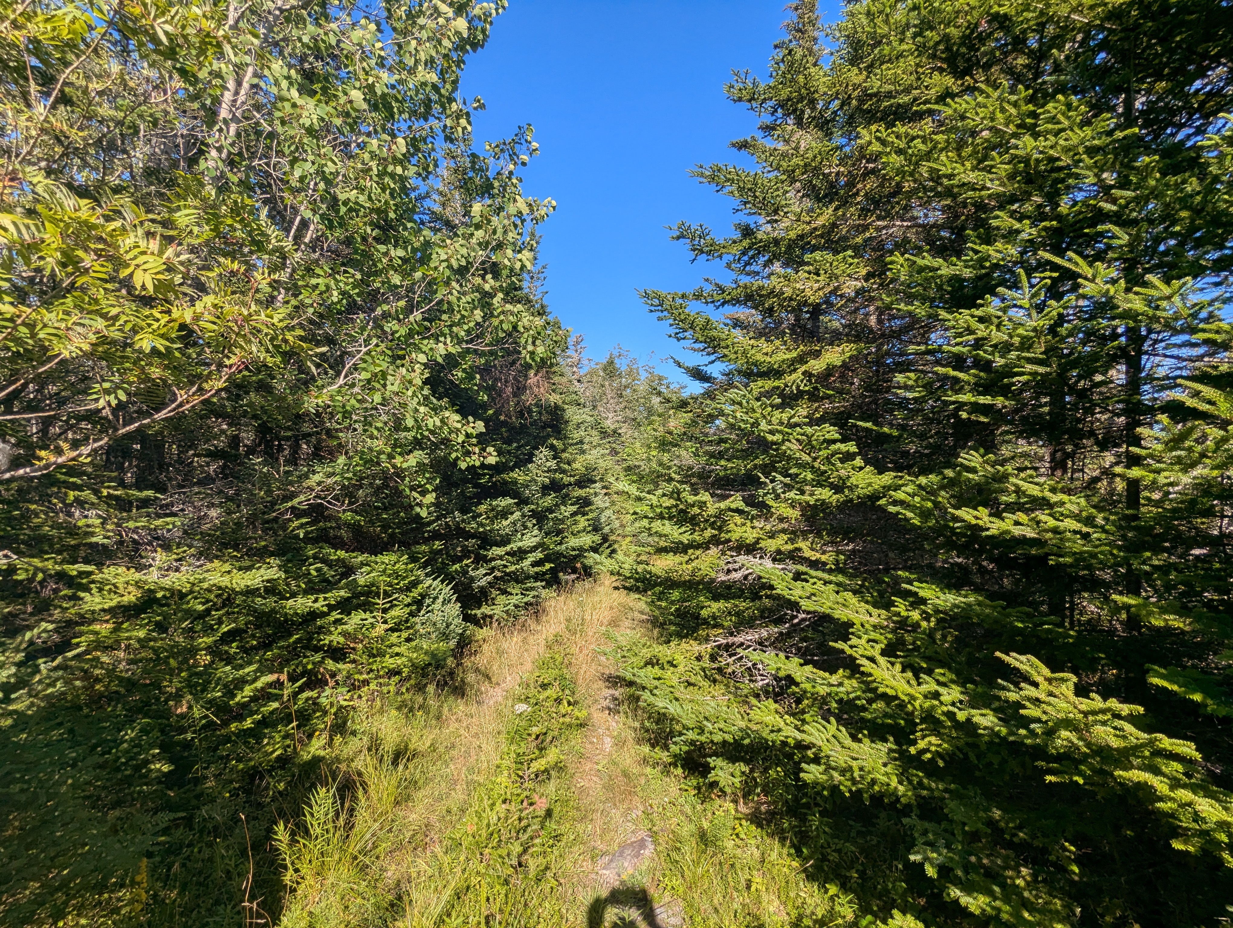 37 acres on Sober Island, NS