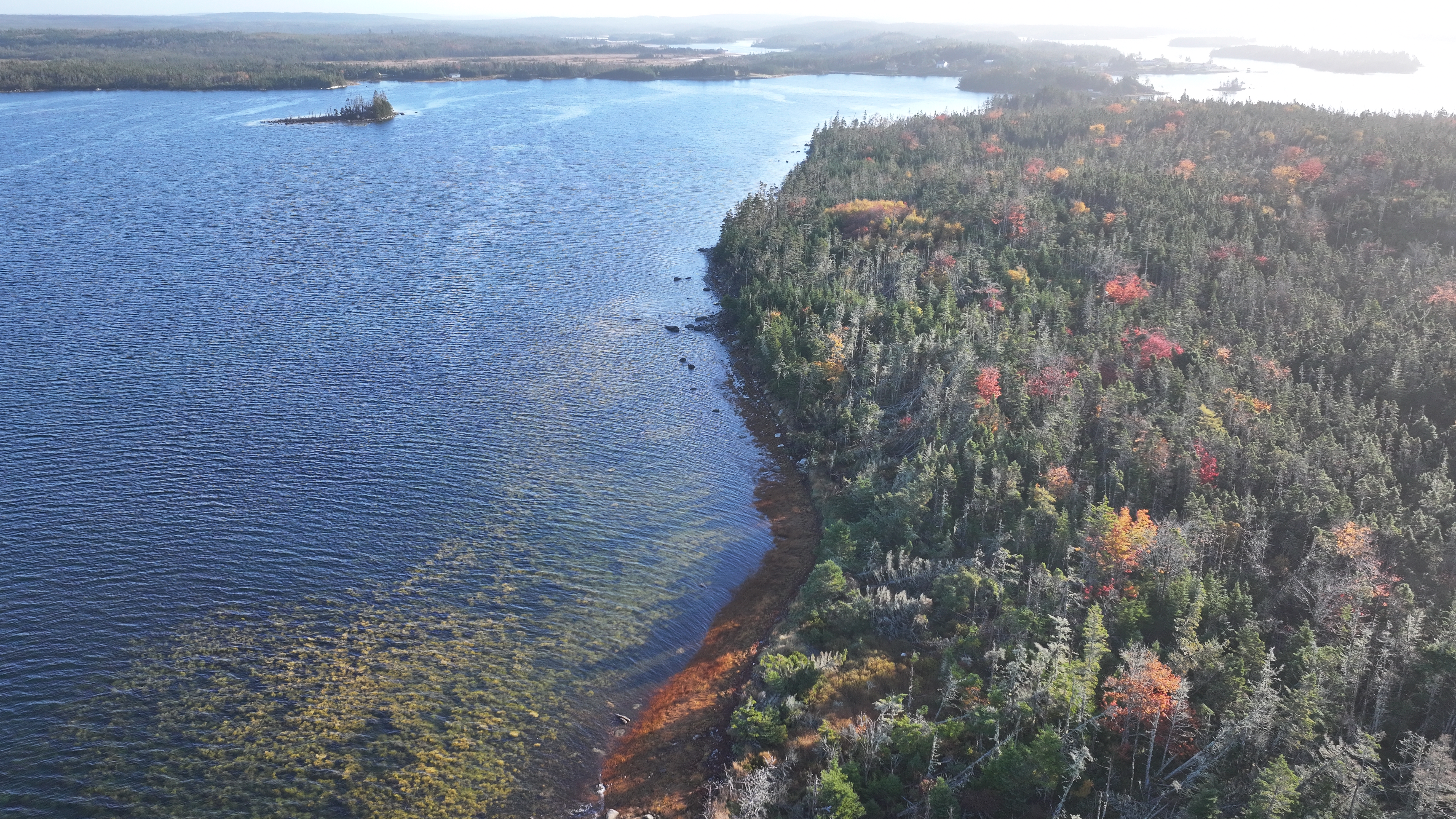 37 acres on Sober Island, NS