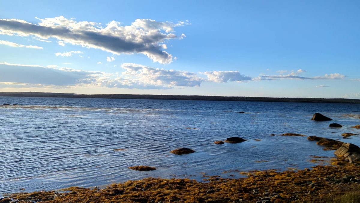 37 acres on Sober Island, NS