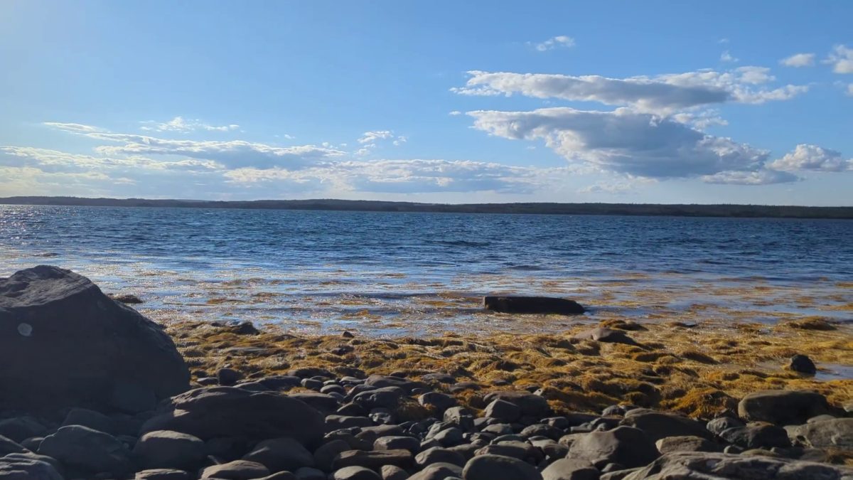 37 acres on Sober Island, NS