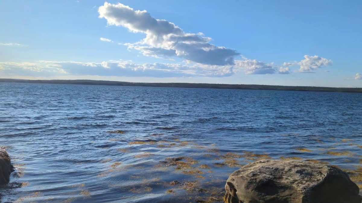 37 acres on Sober Island, NS