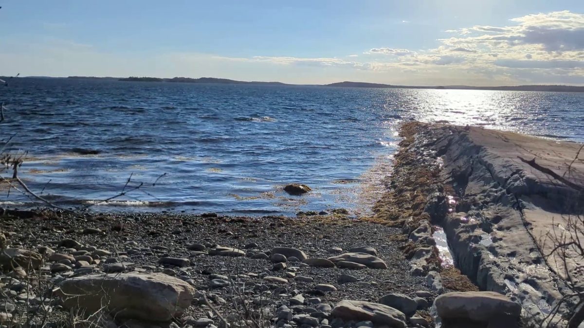 37 acres on Sober Island, NS