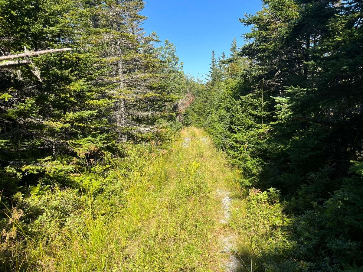 37 acres on Sober Island, NS