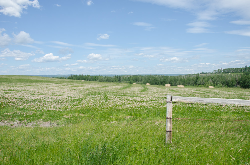 Vacant Land / Acreage / Farm For Sale in Lac Ste Anne County, AB