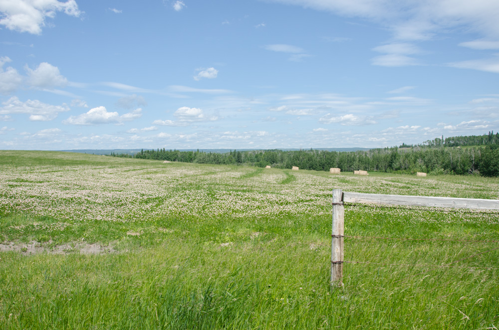 Vacant Land / Acreage / Farm For Sale in Lac Ste Anne County, AB