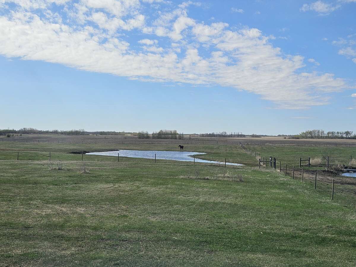 Spring is in the air