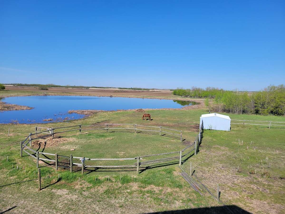 Round pen and horse shelter