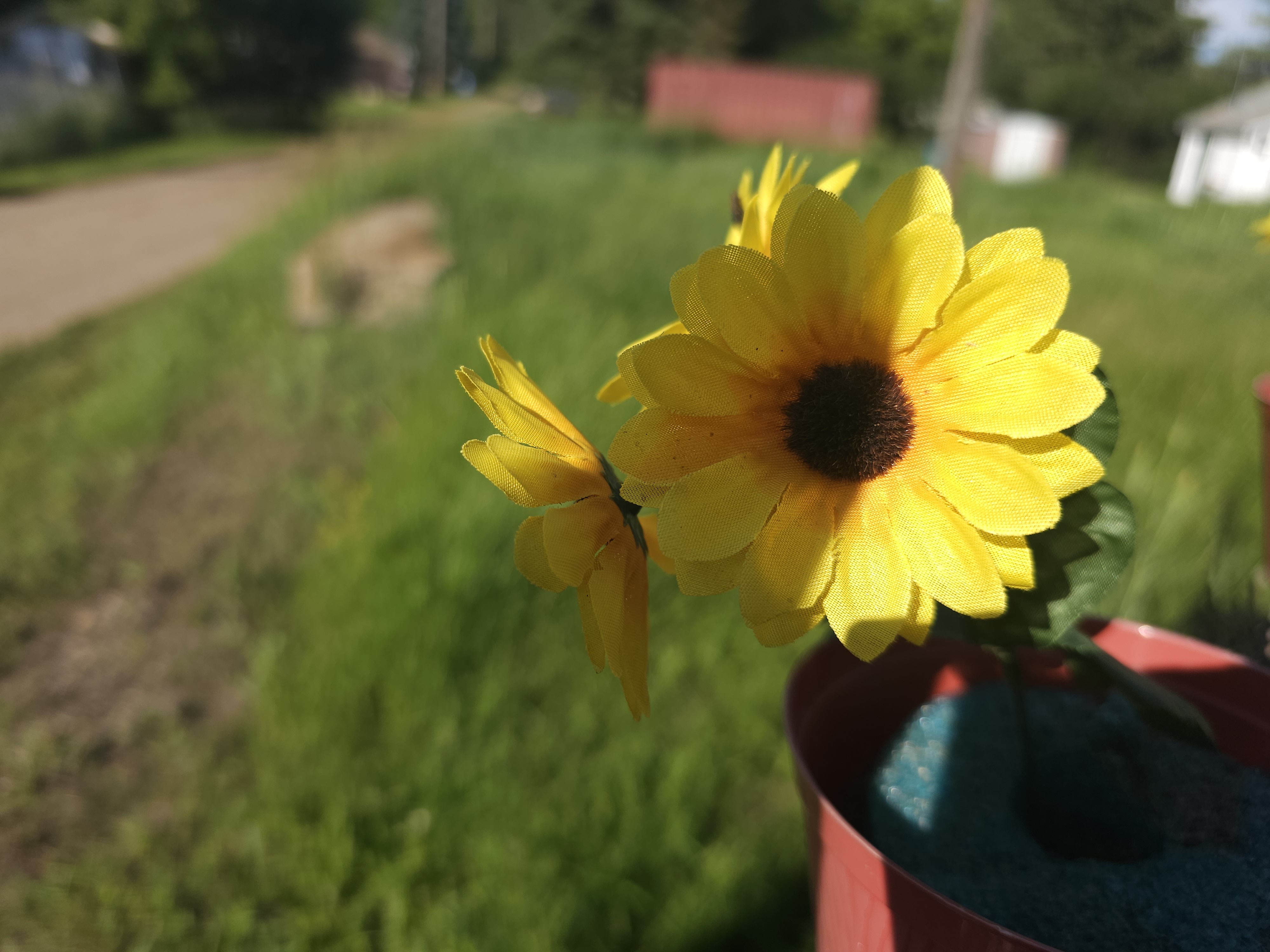 Rural Central Alberta Small Town Country Property
