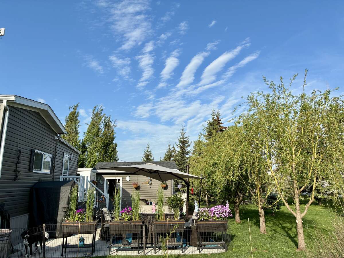 View East to West of back Yard