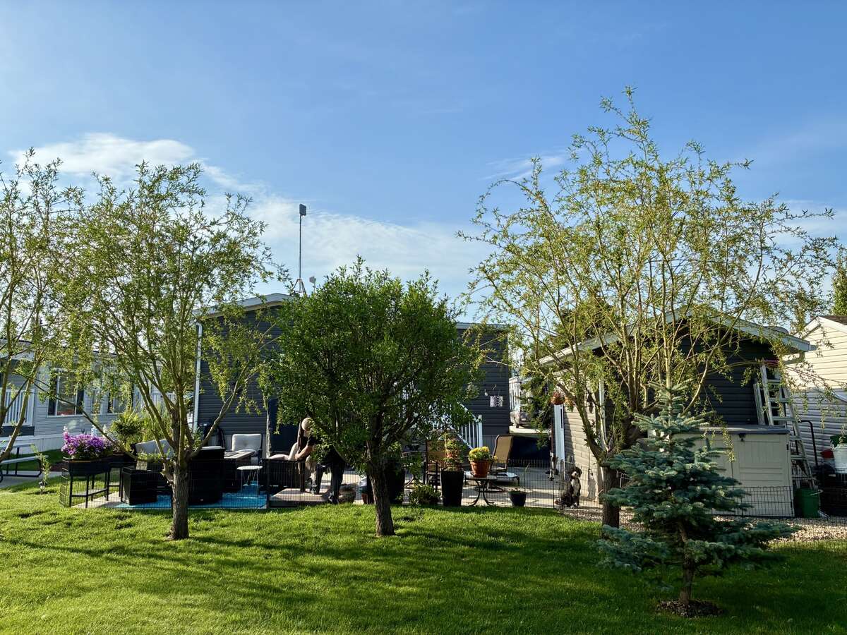View from Common Area to Back yard